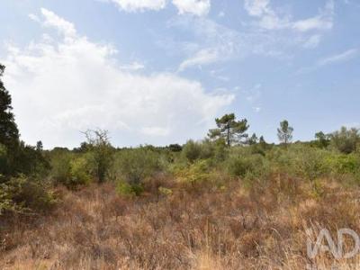 Annonce Vente Terrain Ferreira-do-zezere