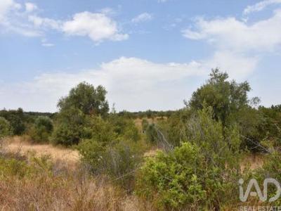 Acheter Terrain Ferreira-do-zezere r�gion SANTAREM