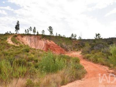 Vente Terrain Ferreira-do-zezere  14 au Portugal