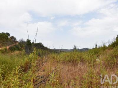 Annonce Vente Terrain Ferreira-do-zezere