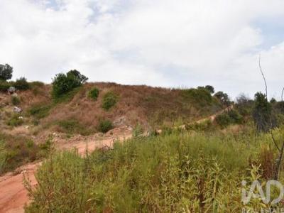 Acheter Terrain 3240 m2 Ferreira-do-zezere