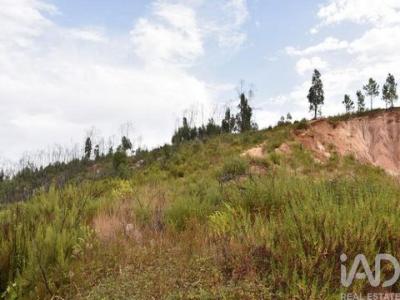 Acheter Terrain Ferreira-do-zezere r�gion SANTAREM