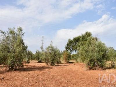 Annonce Vente Terrain Ferreira-do-zezere