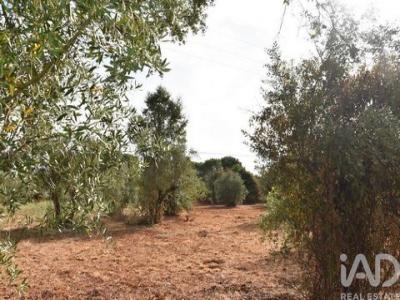 Acheter Terrain Ferreira-do-zezere r�gion SANTAREM