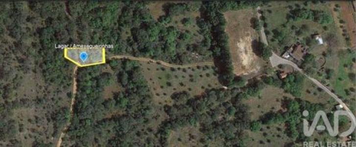 Annonce Vente Terrain Ferreira-do-zezere