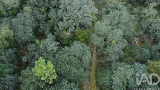 Acheter Terrain Ferreira-do-zezere r�gion SANTAREM