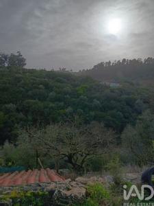 Acheter Maison Alcobaca r�gion LEIRIA