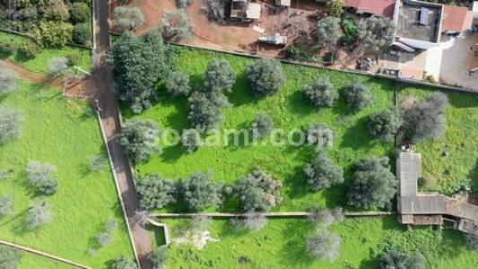 Annonce Vente Terrain Loule