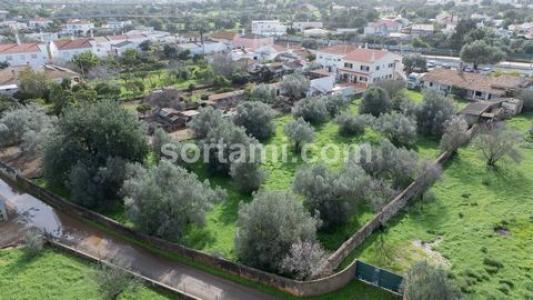 Acheter Terrain 250 m2 Loule