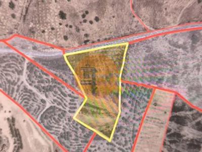 Vente Terrain Castro-marim AZINHAL 08 au Portugal