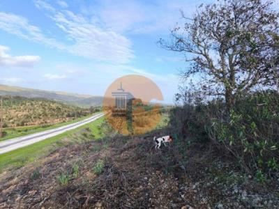 Acheter Terrain 10160 m2 Castro-marim