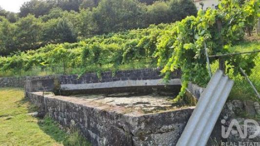 Acheter Terrain 8313 m2 Vila-verde