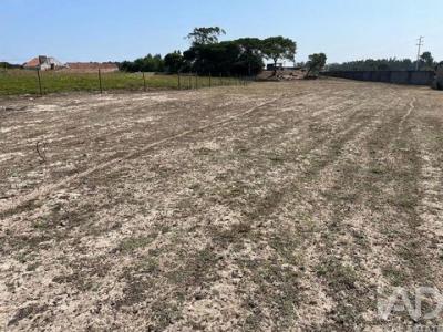 Annonce Vente Terrain Caldas-da-rainha