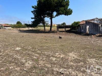 Acheter Terrain 4641 m2 Caldas-da-rainha