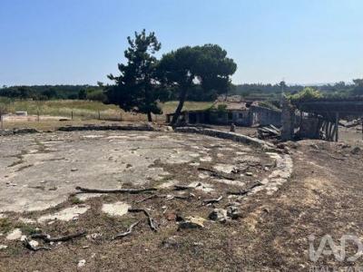 Acheter Terrain Caldas-da-rainha r�gion LEIRIA