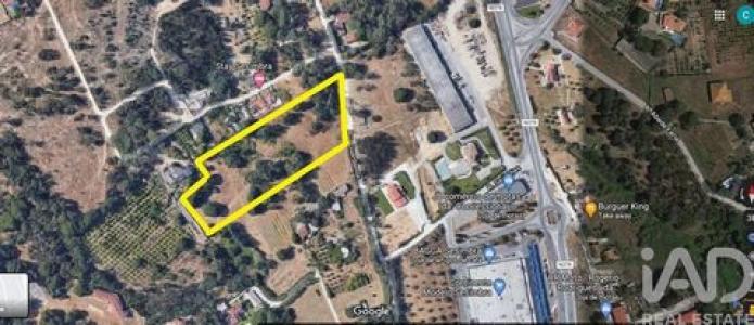 Annonce Vente Terrain Sesimbra