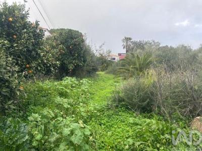 Acheter Terrain Silves r�gion FARO