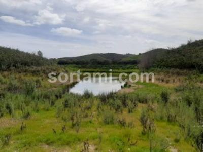 Acheter Terrain 2000 m2 Portimao