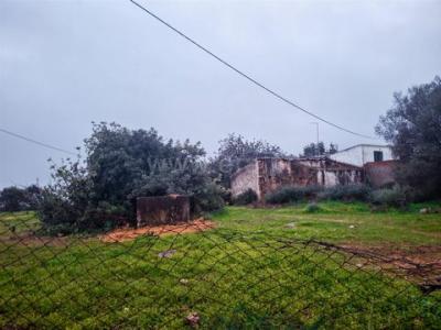 Annonce Vente Terrain Faro