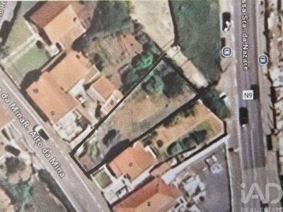 Annonce Vente Terrain Mafra