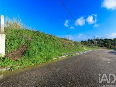 Acheter Terrain 906 m2 Santarem