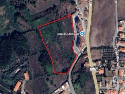 Acheter Terrain 18800 m2 Alcobaca