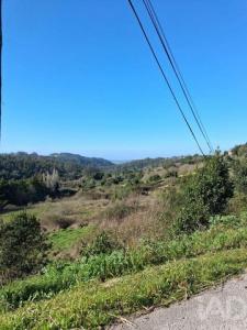 Acheter Terrain Alcobaca r�gion LEIRIA