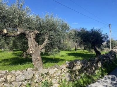 Annonce Vente Terrain Sao-bras-de-alportel