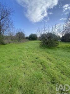 Acheter Terrain Sao-bras-de-alportel r�gion FARO