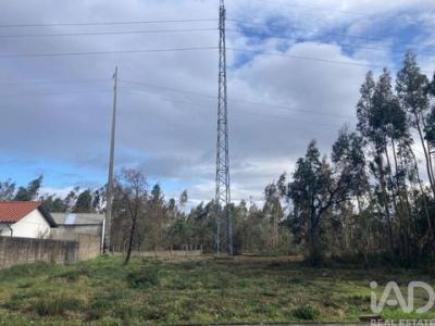 Annonce Vente Terrain Marinha-grande