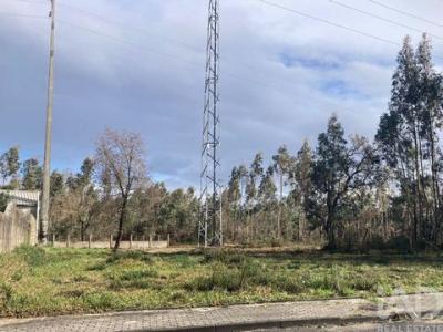 Acheter Terrain 860 m2 Marinha-grande