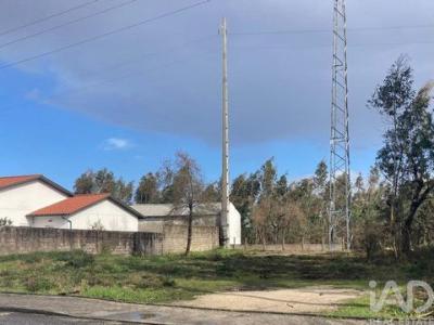 Acheter Terrain Marinha-grande r�gion LEIRIA