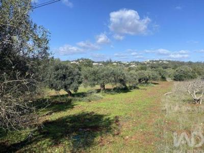 Annonce Vente Terrain Sao-bras-de-alportel