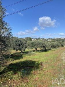 Acheter Terrain 600 m2 Sao-bras-de-alportel