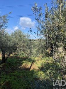 Acheter Terrain Sao-bras-de-alportel r�gion FARO