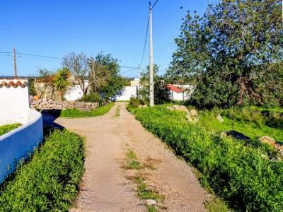 Acheter Terrain 7800 m2 Olhao