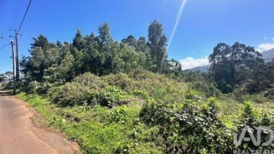 Acheter Terrain Santana r�gion SETUBAL