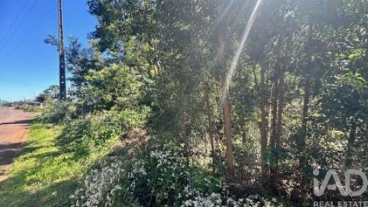 Acheter Terrain 1520 m2 Santana