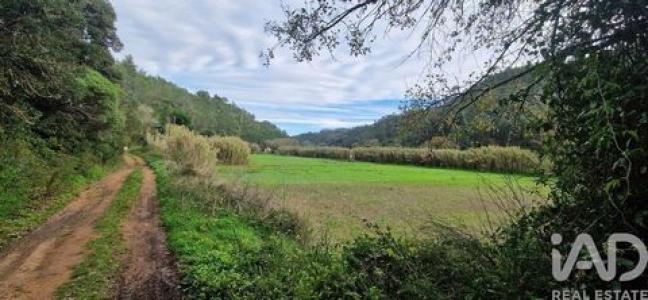 Annonce Vente Terrain Mafra