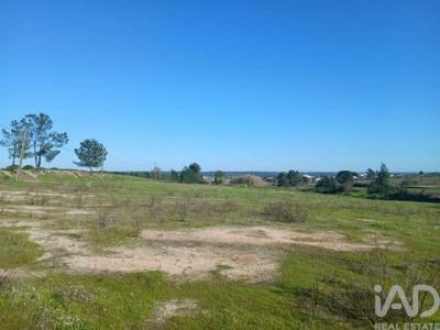 Annonce Vente Terrain Almeirim