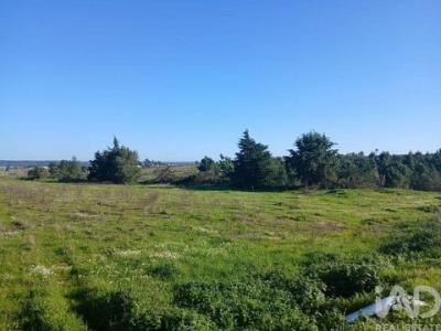 Acheter Terrain 1108 m2 Almeirim