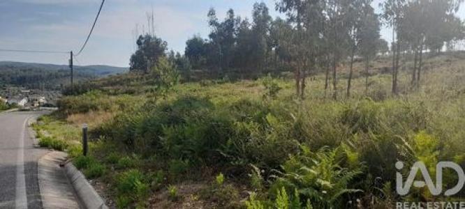 Annonce Vente Terrain Pedrogao-grande