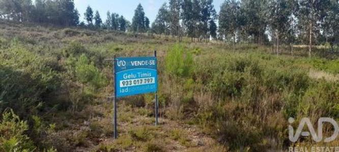 Acheter Terrain Pedrogao-grande r�gion LEIRIA