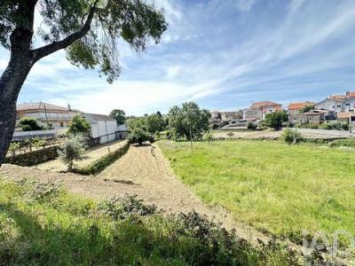 Acheter Terrain Gouveia r�gion BRAGANCA