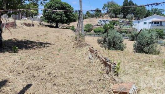 Acheter Terrain 1114 m2 Pedrogao-grande