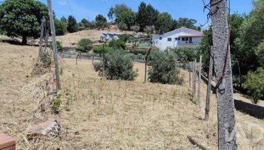 Acheter Terrain Pedrogao-grande r�gion LEIRIA