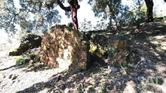 Vente Terrain Serta  05