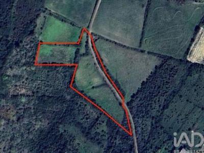 Annonce Vente Terrain Mafra