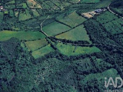 Acheter Terrain 12500 m2 Mafra