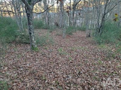 Acheter Terrain Vila-verde r�gion COIMBRA